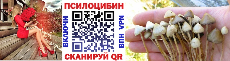 Псилоцибиновые грибы Magic Shrooms  Энем 